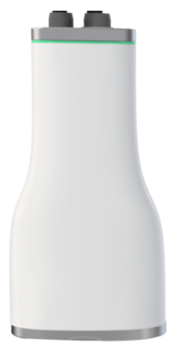 skin rejuvenation