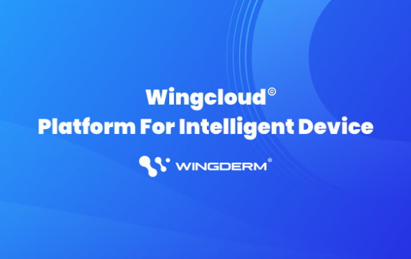 From the aesthetic industry needs to the future development, Wincloud© was successfully released!